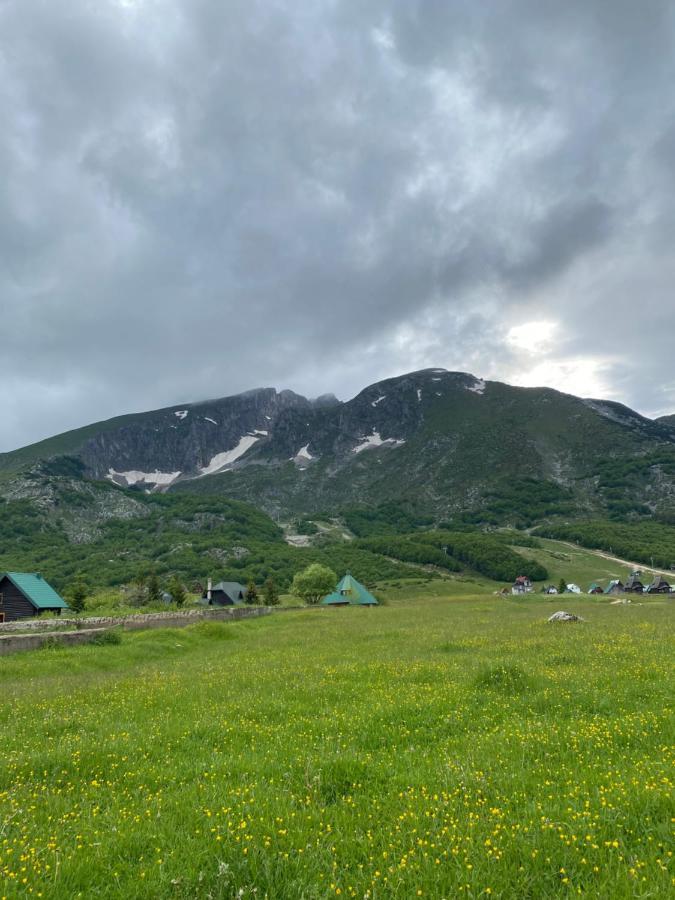 Guesthouse Andrea A Zabljak  Bagian luar foto