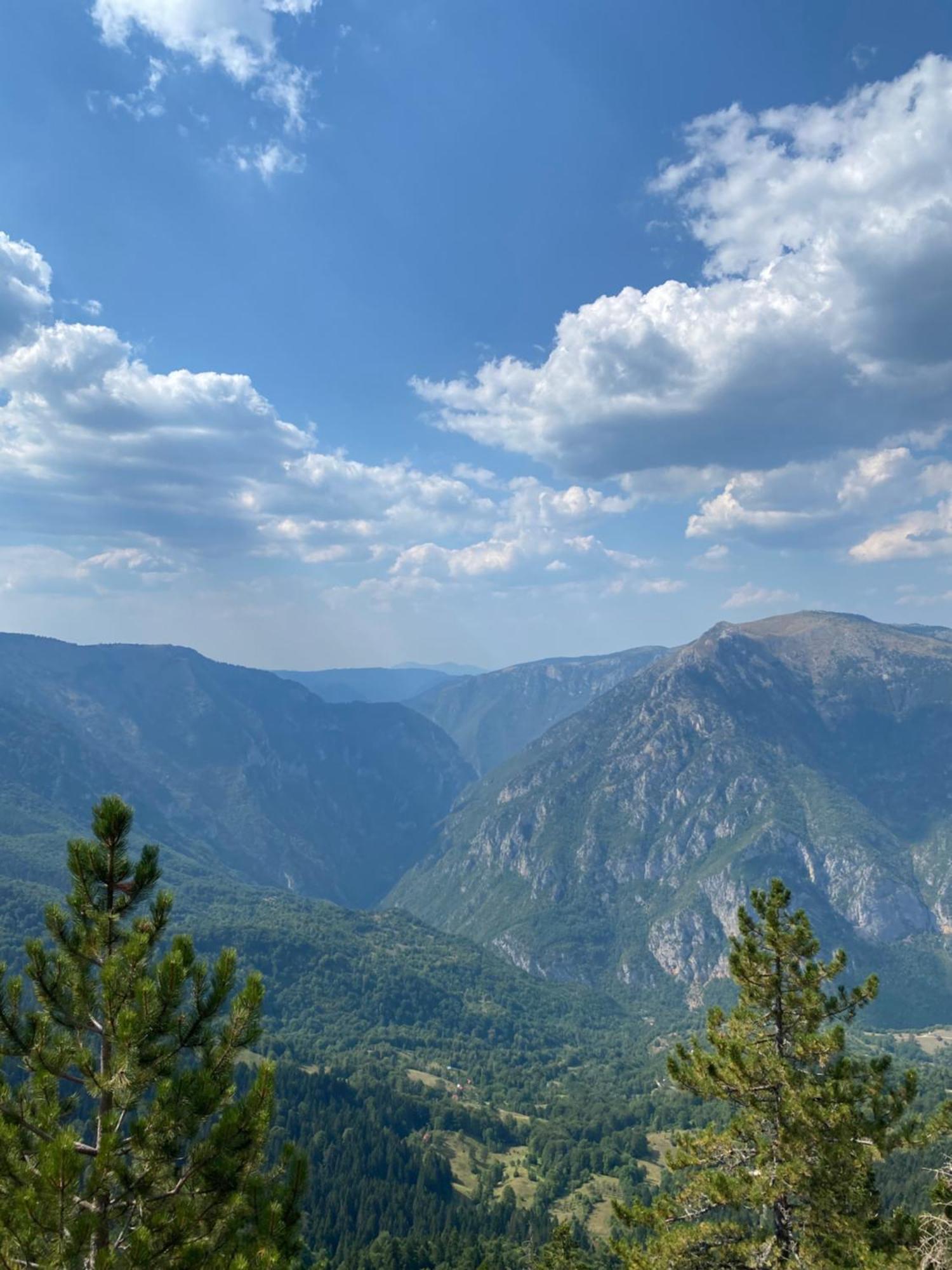 Guesthouse Andrea A Zabljak  Bagian luar foto