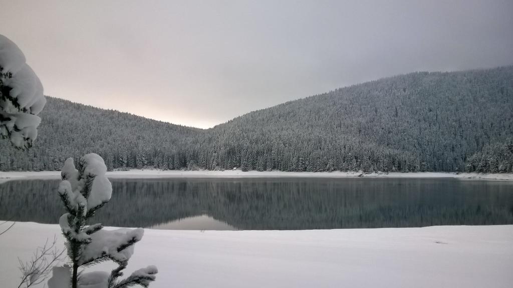 Guesthouse Andrea A Zabljak  Bagian luar foto