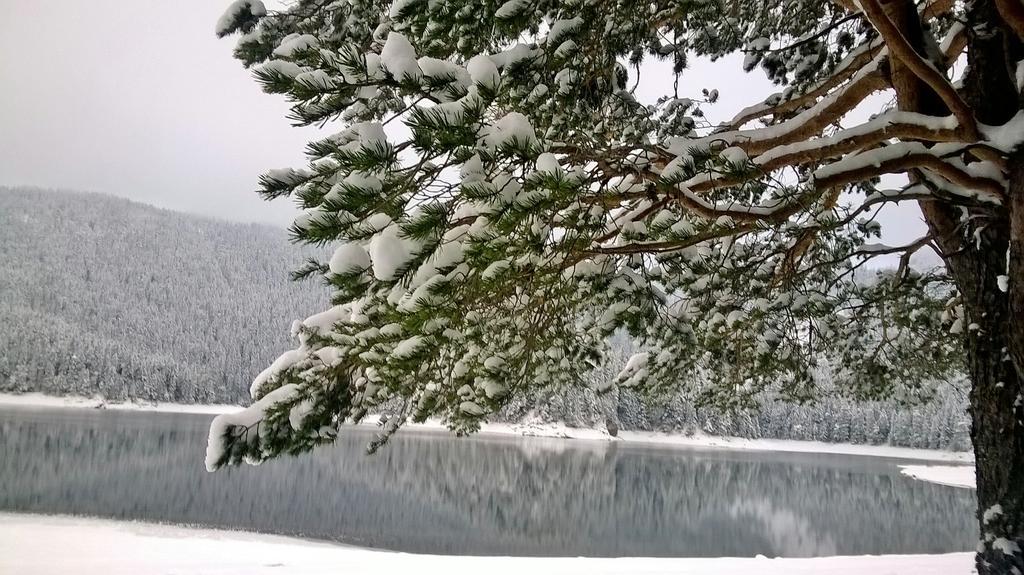 Guesthouse Andrea A Zabljak  Bagian luar foto